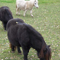 100_0515.jpg
